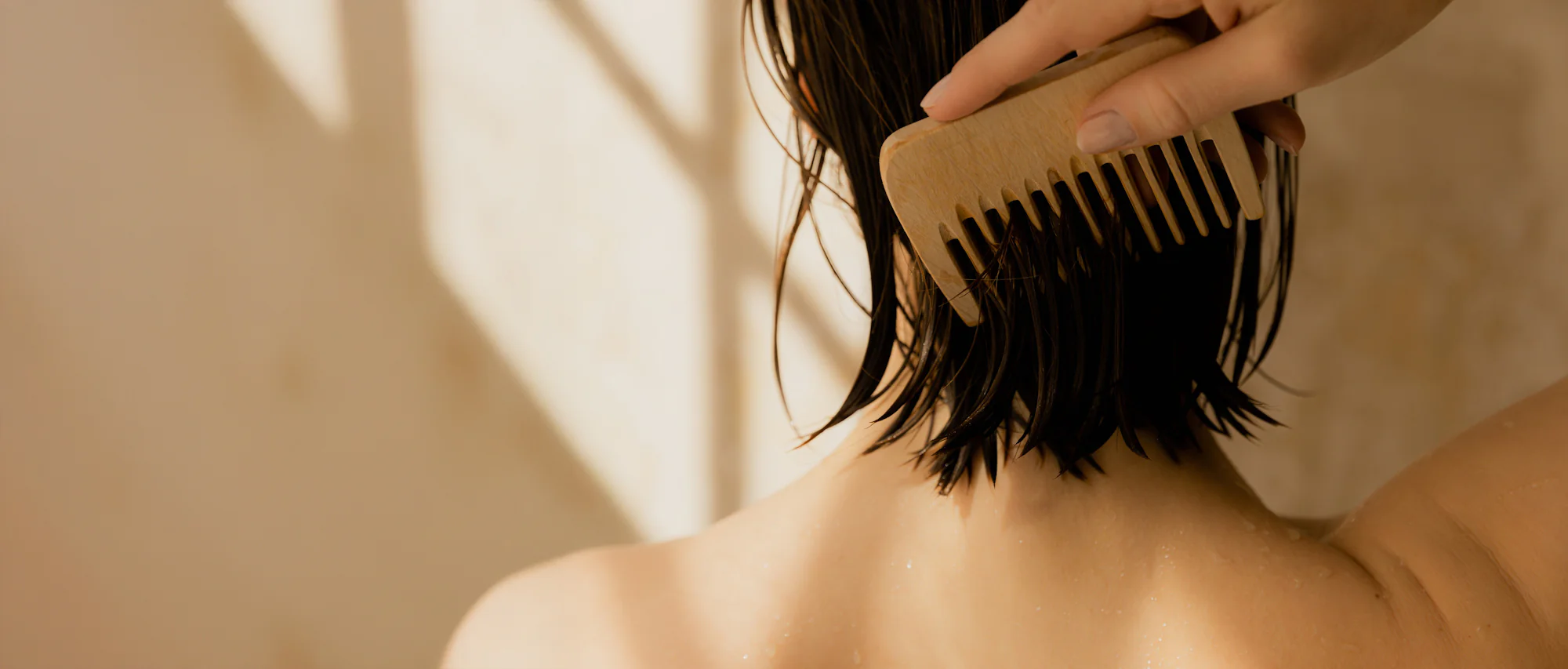 Shea Moisture Boutique 1 Shea Moisture Boutique -Shea Moisture Boutique banner noemie5